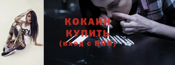 тгк Богородицк