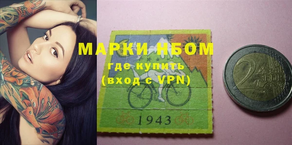 PSILOCYBIN Белокуриха