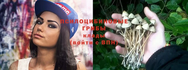 прущая мука Беломорск