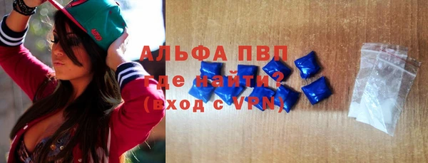 PSILOCYBIN Белокуриха