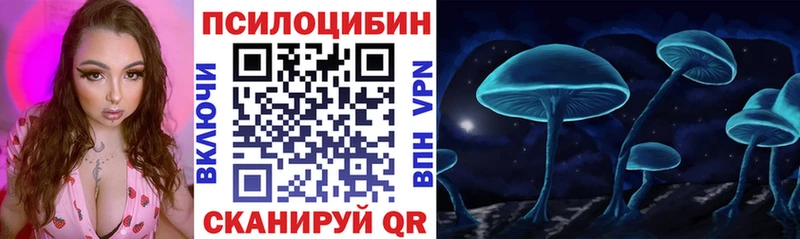 наркотики  Улан-Удэ  Псилоцибиновые грибы прущие грибы 