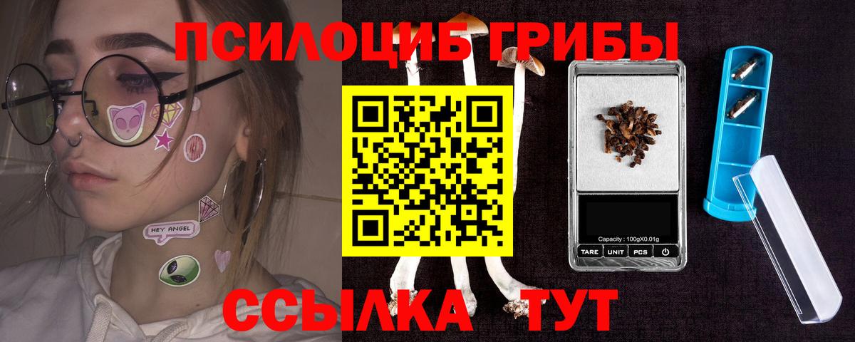 Улан-Удэ  Псилоцибиновые грибы мицелий  купить  цена  Вход с VPN 
