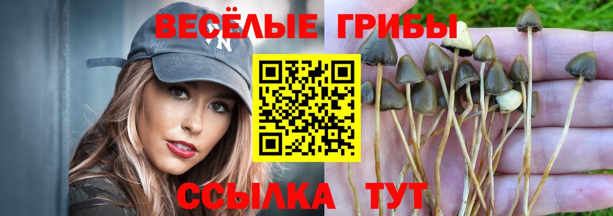 Псилоцибиновые грибы ЛСД Улан-Удэ